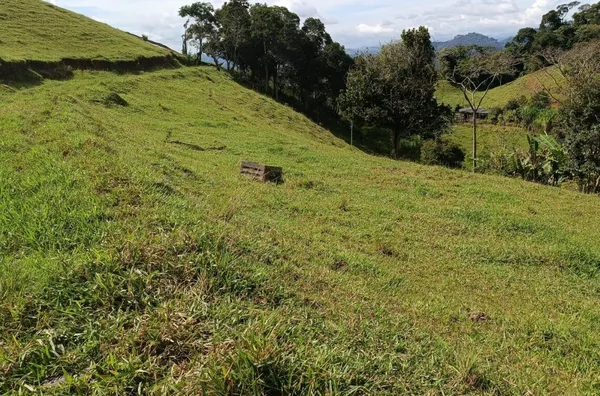 Sítio para venda, Riograndina, Nova Friburgo - Foto 16