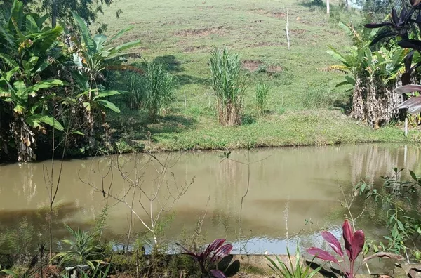 Sítio para venda, Riograndina, Nova Friburgo - Foto 13