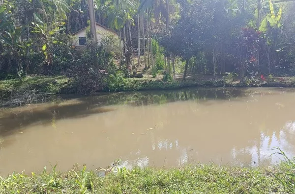 Sítio para venda, Riograndina, Nova Friburgo - Foto 18
