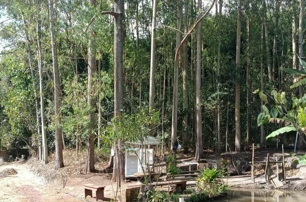Sítio para venda, Riograndina, Nova Friburgo - Foto 10