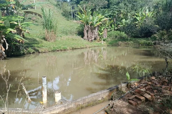 Sítio para venda,  Riograndina, Nova Friburgo