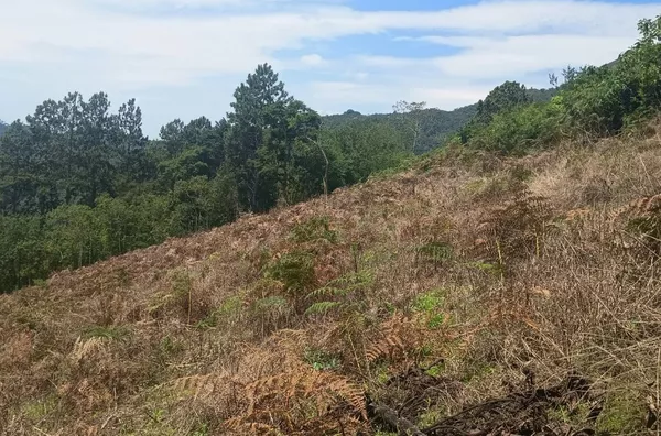 Terreno para venda, Cascatinha, Nova Friburgo - Foto 6