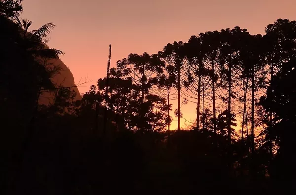 Sítio para venda,  Riograndina, Nova Friburgo