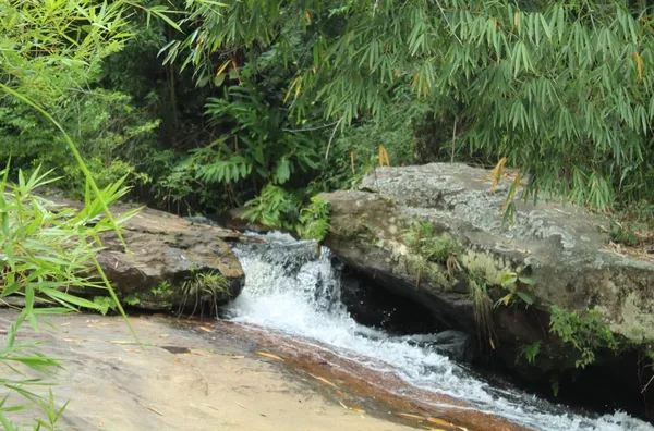 Sítio para venda, Riograndina, Nova Friburgo - Foto 8