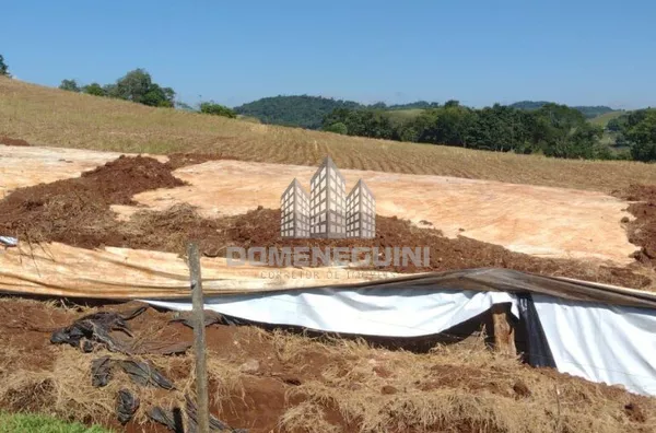 Fazenda para venda,  Linha Flor Da Serra, Irati