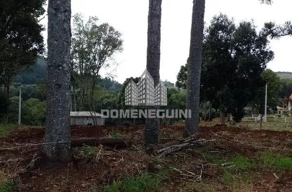 Chácara para venda,  Linha Candeias, Pato Branco