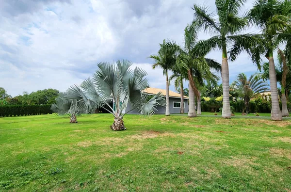 Casa Àà venda no Condomínio GOLF VILLE, Recanto Santa Andréa, Cambé-PR