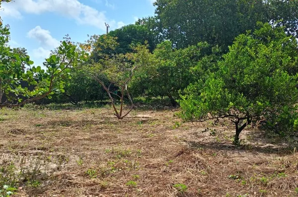 Terreno / Lote / Condomínio para alugar, 8742m² - Messejana - Foto 1