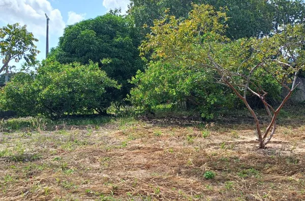 Terreno / Lote / Condomínio para alugar, 8742m² - Messejana - Foto 4