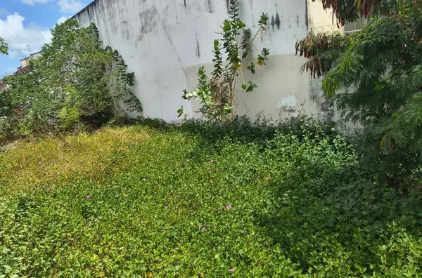 TERRENO em FORTALEZA - Foto 3