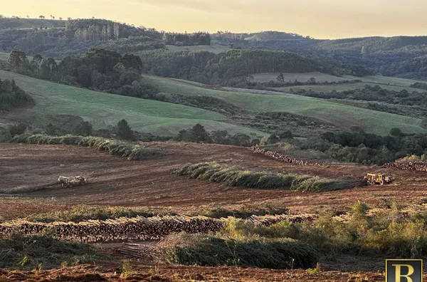 Fazenda para Venda em Guarapuava / PR no bairro Guara