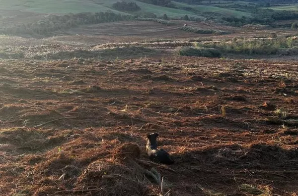Fazenda para Venda em Guarapuava / PR no bairro Guara