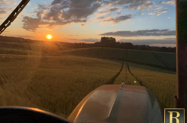 Fazenda para Venda em Goioxim / PR no bairro Rural