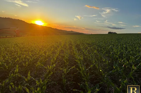 Fazenda para Venda em Goioxim / PR no bairro Rural