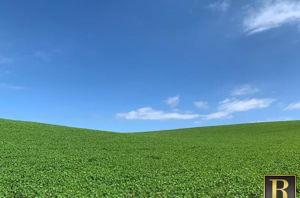 Fazenda para Venda em Goioxim / PR no bairro Rural