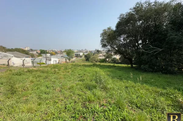 Terreno para Venda em Guarapuava / PR no bairro Bonsucesso - Foto 3