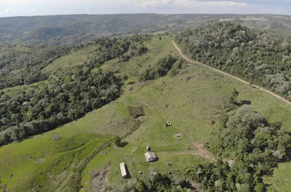 Fazenda para Venda em Reserva do Iguaçu / PR no bairro Rural