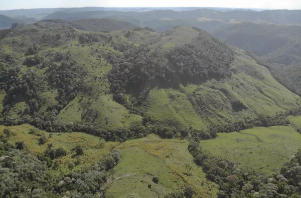 Fazenda para Venda em Reserva do Iguaçu / PR no bairro Rural