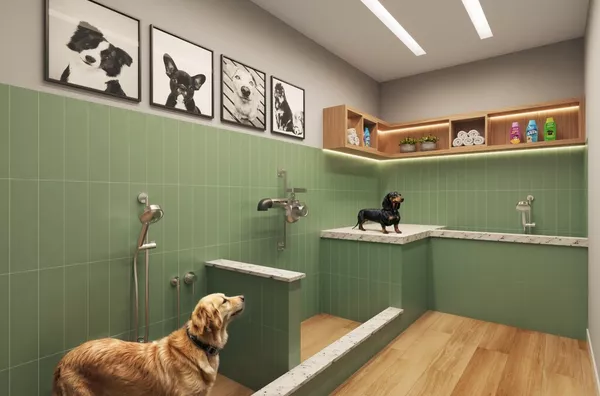 Pet care