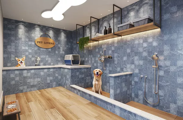 Pet care