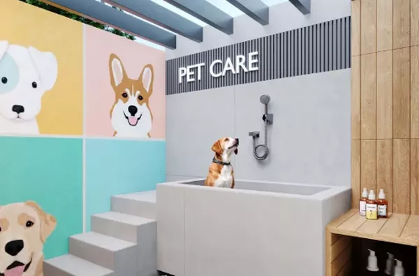 Pet care
