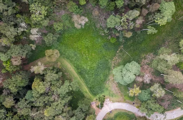 Terreno para comprar, Pedra Azul , Domingos Martins - Foto 3