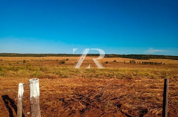 Fazenda à venda, 6342 Hectares  por R$ 130.000.000 - Zona Rural - Santo Antônio do Leste/MT - Foto 4