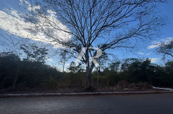 Terreno para venda no Jardim Nova Barra em Barra Do Garças