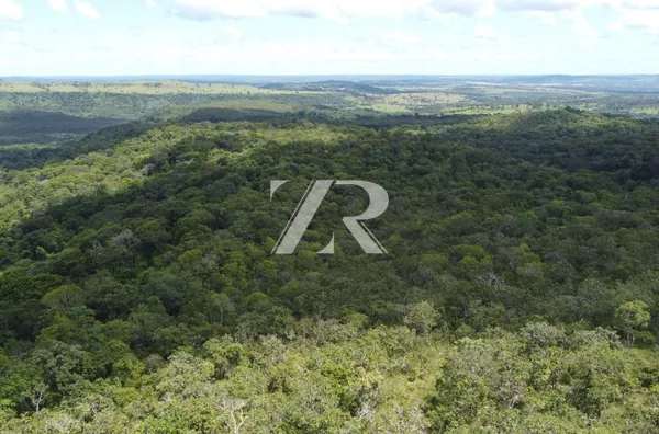 Fazenda à venda, 4.997,73 Hectares por R$ 50.000.000 - Setor Rural de Barra do Garças - Barra do Garças/MT - Foto 4