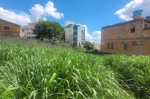 Terreno para aluguel,  Pirajá, Belo Horizonte - Foto 5