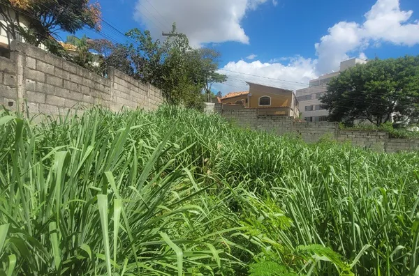 Terreno para aluguel,  Pirajá, Belo Horizonte - Foto 6