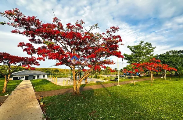 Casa em condomínio para venda e aluguel, 3 quartos, Morada das Garças, Cidade Ocidental - Foto 38