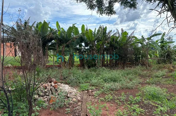 Chácara com 3 dormitórios à venda, 1000 m² por R$ 580.000,00 - Ourinhos - Salto Grande/SP - Foto 4
