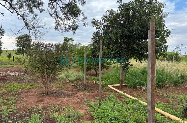 Chácara com 3 dormitórios à venda, 1000 m² por R$ 580.000,00 - Ourinhos - Salto Grande/SP - Foto 7