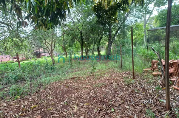 Terreno de chácara a venda, com 1.530 m² por R$ 250.000,00 - No Itaipava em  Ourinhos/SP - Foto 6