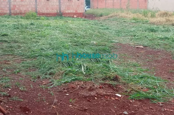 Terreno à venda, 230 m² por R$ 70.000,00 - Vila das Flores  - Chavantes/SP - Foto 2