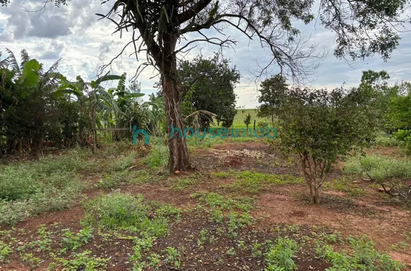 Chácara com 3 dormitórios à venda, 1000 m² por R$ 580.000,00 - Ourinhos - Salto Grande/SP - Foto 5
