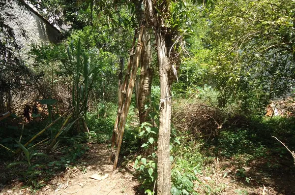 CASA RESIDENCIAL / COMERCIAL BAIRRO VILA OLIVEIRA - Foto 5