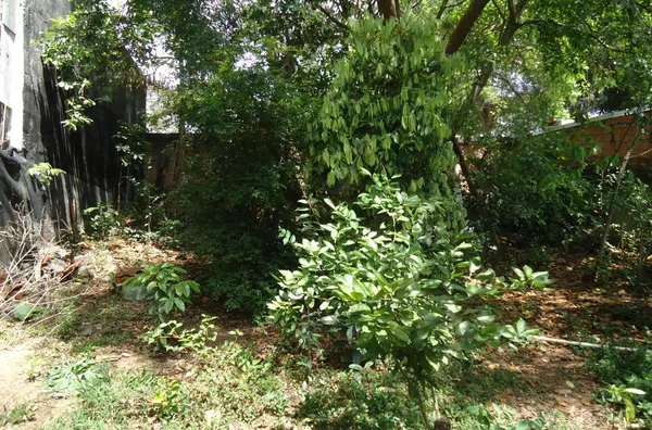 CASA RESIDENCIAL / COMERCIAL BAIRRO VILA OLIVEIRA - Foto 6