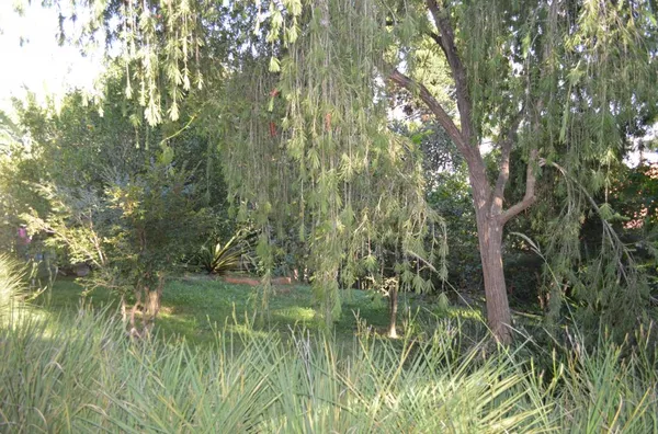 CHÁCARA BAIRRO VILA NATAL - Foto 5