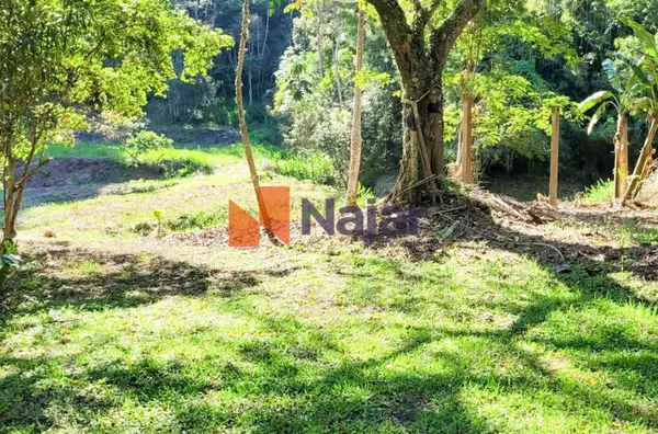 SÍTIO PINHEIRO GRANDE NO BAIRRO MERENDA - Foto 37