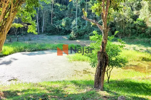SÍTIO PINHEIRO GRANDE NO BAIRRO MERENDA - Foto 36