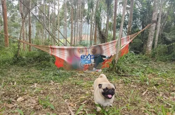 Chácara para venda,  Jardim Agua Boa, Campo Magro - Foto 6