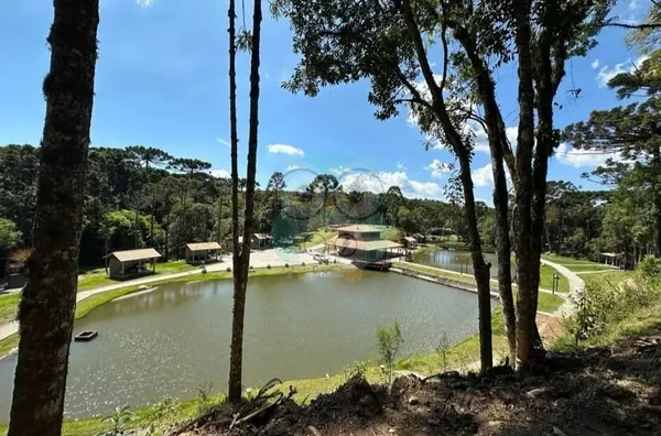 Chácara para venda, Jardim Paulista, Campina Grande Do Sul - Foto 2