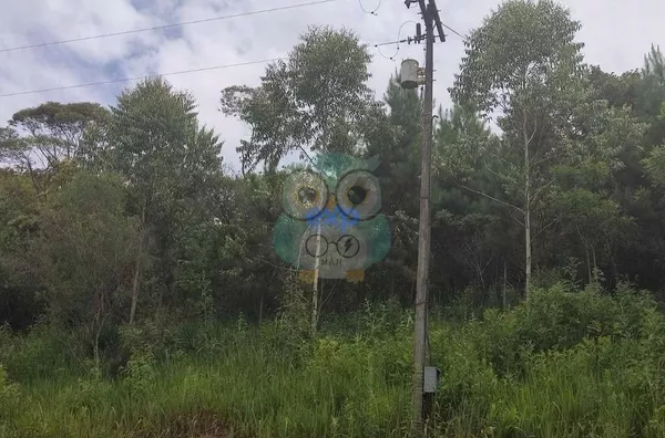 Chácara para venda,  Jardim Agua Boa, Campo Magro - Foto 7