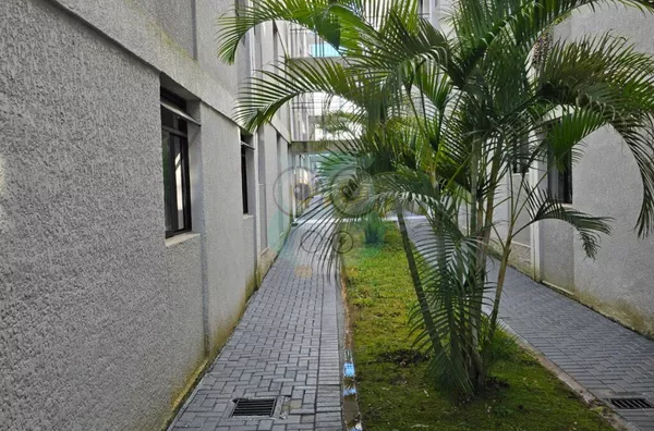 Apartamento para venda e aluguel, 3 quarto(s),  Campina Do Siqueira, Curitiba - Foto 4