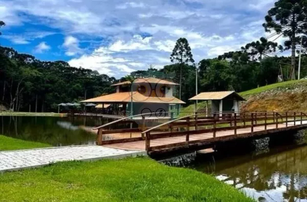 Chácara para venda, Jardim Paulista, Campina Grande Do Sul - Foto 1