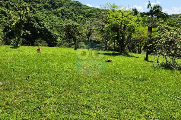 Casa para venda, 3 quarto(s),  Alexandra, Paranaguá - Foto 13