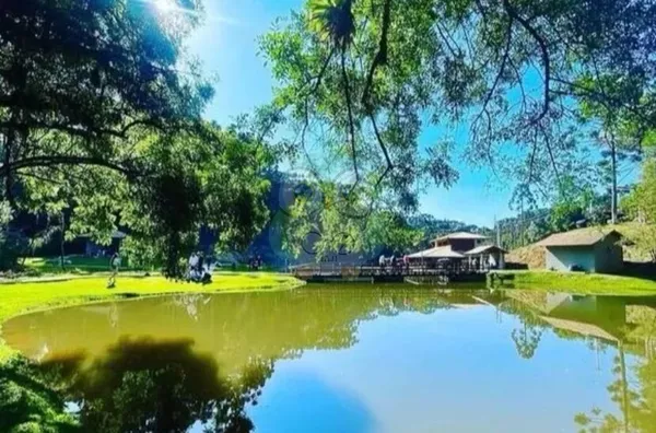 Chácara para venda, Jardim Paulista, Campina Grande Do Sul - Foto 4