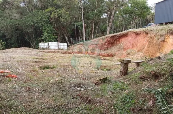 Chácara para venda,  Campina, Tijucas Do Sul - Foto 4